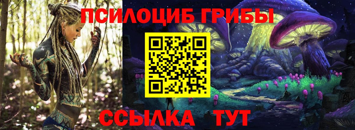 Галлюциногенные грибы MAGIC MUSHROOMS Тулун