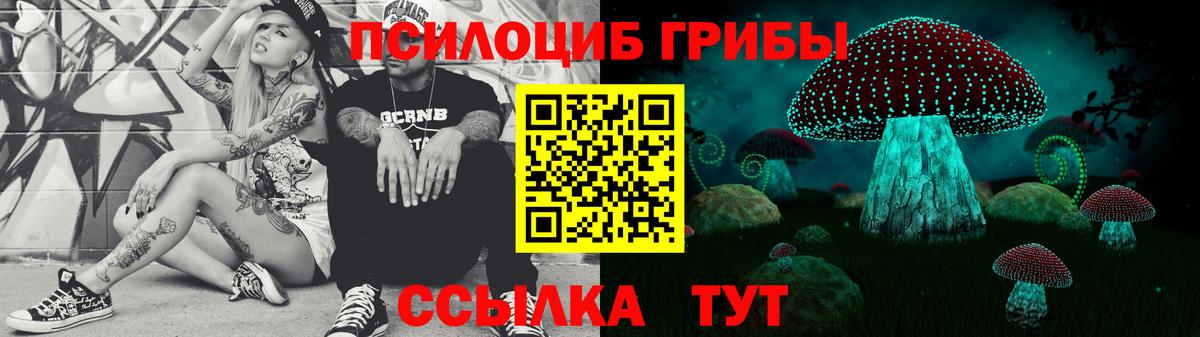 Тулун  Псилоцибиновые грибы прущие грибы  Псилоцибиновые грибы Magic Shrooms  Вход с VPN 